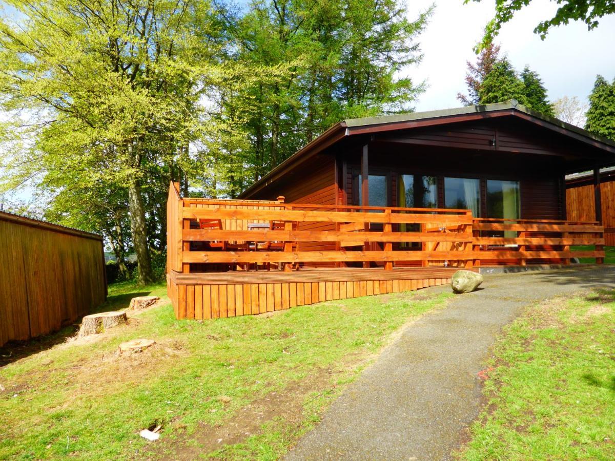Birch Lodge 13 With Hot Tub Нютън Стюарт Екстериор снимка
